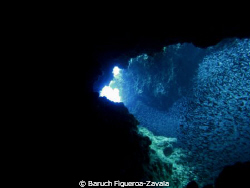 Found this cave filled with plenty of silversides in Banc... by Baruch Figueroa-Zavala 